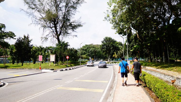 马来亚大学信息系统本科专业就业前景